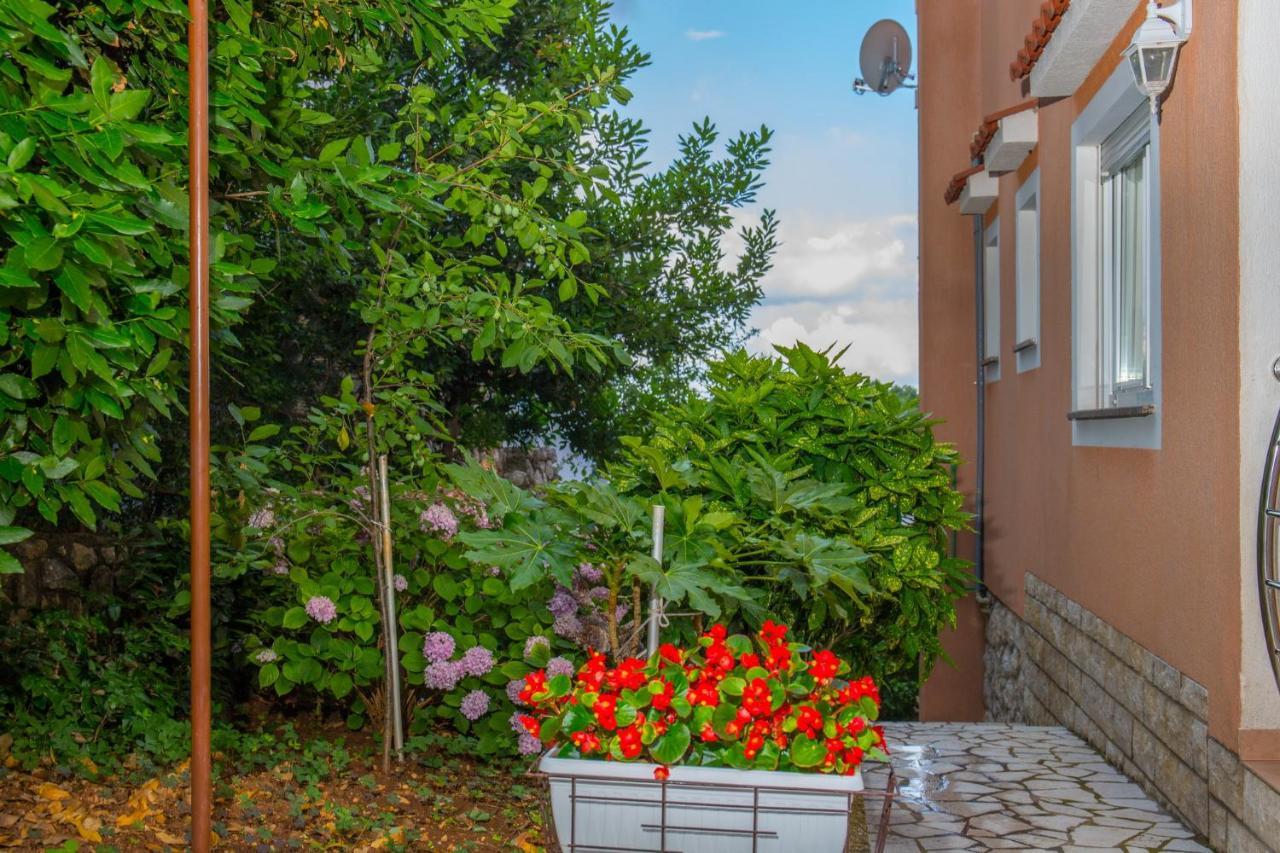 Apartments Zorica Драмаль Екстер'єр фото